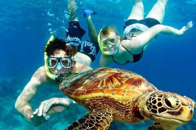 Crystal clear snorkeling gear for underwater exploration