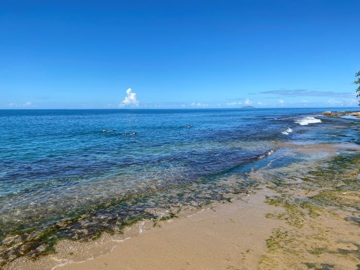 Steps leading to the beach in Rincón